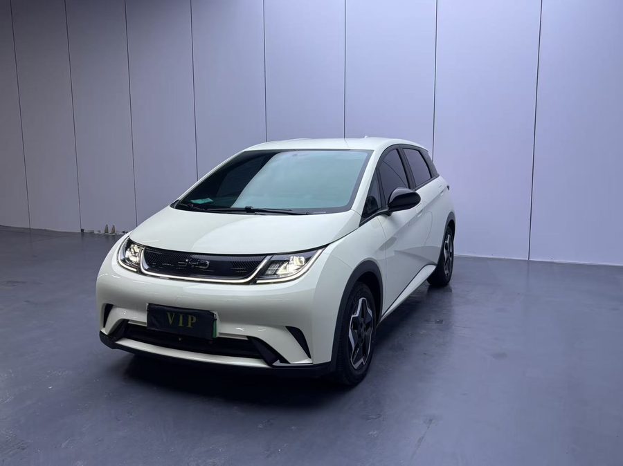 比亚迪 2025款 海豚 420km 活力版